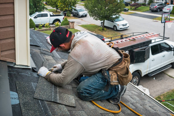 Professional Gutter Repair And Installation technician working in Holy Cross, IA